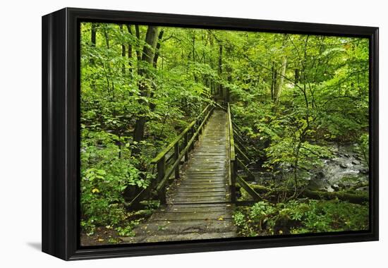 Wooden Bridge, Holzbachtal, Westerwald, Rhineland-Palatinate, Germany, Europe-Jochen Schlenker-Framed Premier Image Canvas