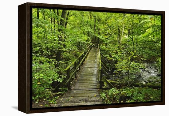 Wooden Bridge, Holzbachtal, Westerwald, Rhineland-Palatinate, Germany, Europe-Jochen Schlenker-Framed Premier Image Canvas