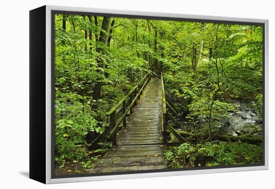 Wooden Bridge, Holzbachtal, Westerwald, Rhineland-Palatinate, Germany, Europe-Jochen Schlenker-Framed Premier Image Canvas