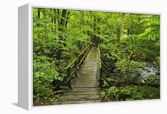 Wooden Bridge, Holzbachtal, Westerwald, Rhineland-Palatinate, Germany, Europe-Jochen Schlenker-Framed Premier Image Canvas
