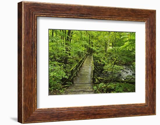 Wooden Bridge, Holzbachtal, Westerwald, Rhineland-Palatinate, Germany, Europe-Jochen Schlenker-Framed Premium Photographic Print