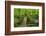 Wooden Bridge, Holzbachtal, Westerwald, Rhineland-Palatinate, Germany, Europe-Jochen Schlenker-Framed Premium Photographic Print