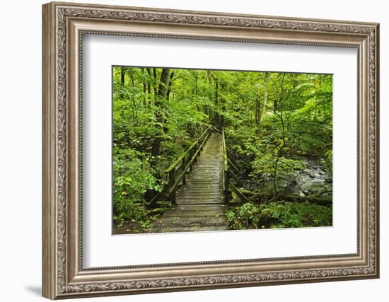 Wooden Bridge, Holzbachtal, Westerwald, Rhineland-Palatinate, Germany, Europe-Jochen Schlenker-Framed Photographic Print