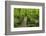 Wooden Bridge, Holzbachtal, Westerwald, Rhineland-Palatinate, Germany, Europe-Jochen Schlenker-Framed Photographic Print