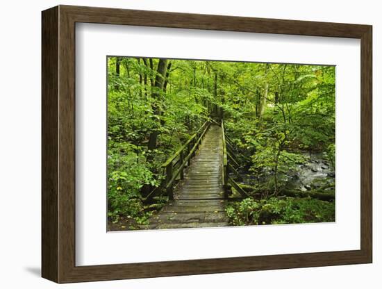 Wooden Bridge, Holzbachtal, Westerwald, Rhineland-Palatinate, Germany, Europe-Jochen Schlenker-Framed Photographic Print