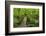 Wooden Bridge, Holzbachtal, Westerwald, Rhineland-Palatinate, Germany, Europe-Jochen Schlenker-Framed Photographic Print