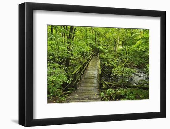 Wooden Bridge, Holzbachtal, Westerwald, Rhineland-Palatinate, Germany, Europe-Jochen Schlenker-Framed Photographic Print