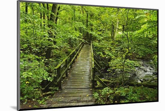 Wooden Bridge, Holzbachtal, Westerwald, Rhineland-Palatinate, Germany, Europe-Jochen Schlenker-Mounted Photographic Print