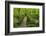 Wooden Bridge, Holzbachtal, Westerwald, Rhineland-Palatinate, Germany, Europe-Jochen Schlenker-Framed Photographic Print