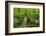 Wooden Bridge, Holzbachtal, Westerwald, Rhineland-Palatinate, Germany, Europe-Jochen Schlenker-Framed Photographic Print