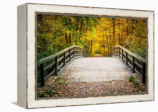 Wooden Bridge in the Autumn Park-sborisov-Framed Premier Image Canvas