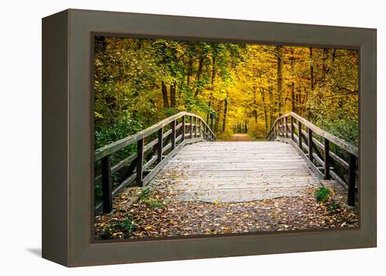 Wooden Bridge in the Autumn Park-sborisov-Framed Premier Image Canvas