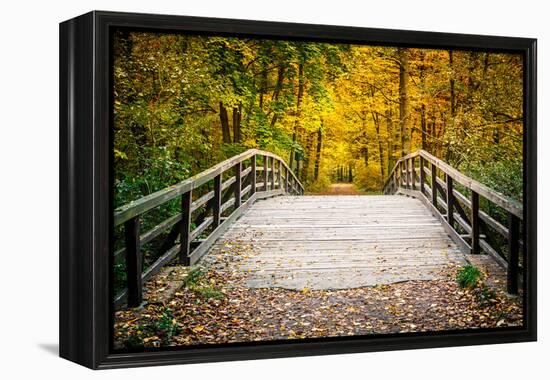 Wooden Bridge in the Autumn Park-sborisov-Framed Premier Image Canvas