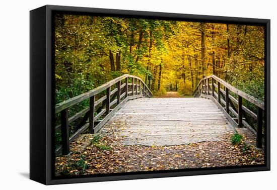 Wooden Bridge in the Autumn Park-sborisov-Framed Premier Image Canvas