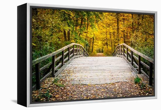 Wooden Bridge in the Autumn Park-sborisov-Framed Premier Image Canvas