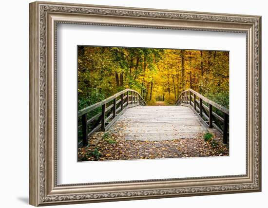 Wooden Bridge in the Autumn Park-sborisov-Framed Photographic Print