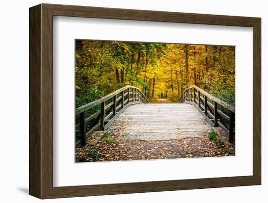 Wooden Bridge in the Autumn Park-sborisov-Framed Photographic Print