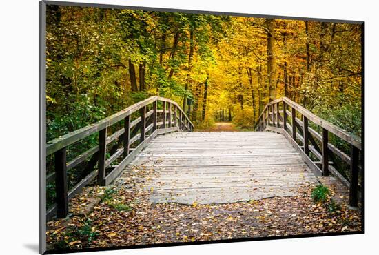 Wooden Bridge in the Autumn Park-sborisov-Mounted Photographic Print