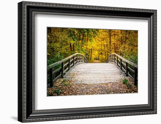 Wooden Bridge in the Autumn Park-sborisov-Framed Photographic Print