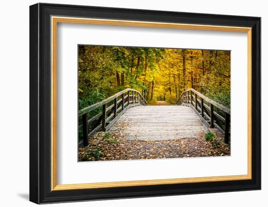 Wooden Bridge in the Autumn Park-sborisov-Framed Photographic Print