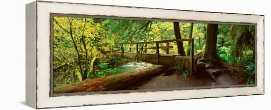 Wooden Bridge in the Hoh Rainforest, Olympic National Park, Washington-null-Framed Stretched Canvas