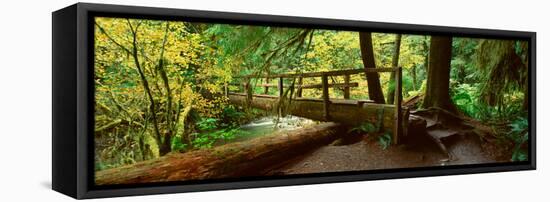 Wooden Bridge in the Hoh Rainforest, Olympic National Park, Washington-null-Framed Stretched Canvas