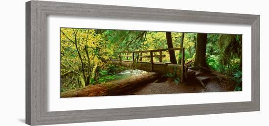 Wooden Bridge in the Hoh Rainforest, Olympic National Park, Washington-null-Framed Photographic Print