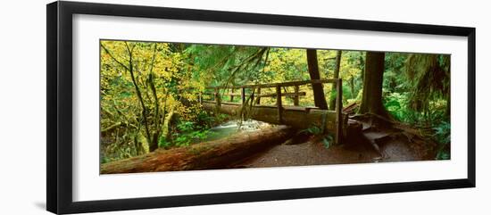 Wooden Bridge in the Hoh Rainforest, Olympic National Park, Washington-null-Framed Photographic Print