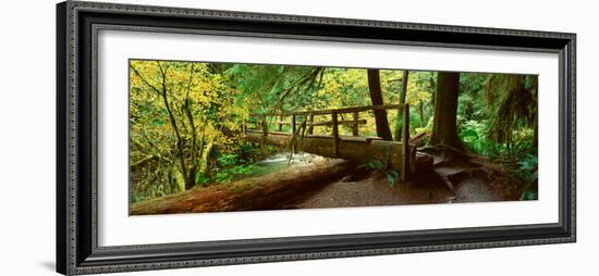 Wooden Bridge in the Hoh Rainforest, Olympic National Park, Washington-null-Framed Photographic Print