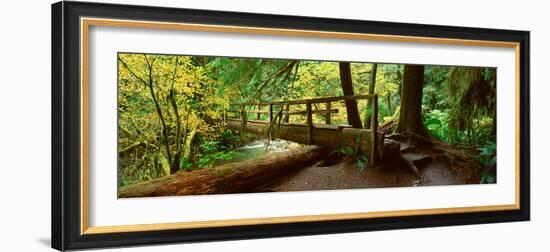 Wooden Bridge in the Hoh Rainforest, Olympic National Park, Washington-null-Framed Photographic Print