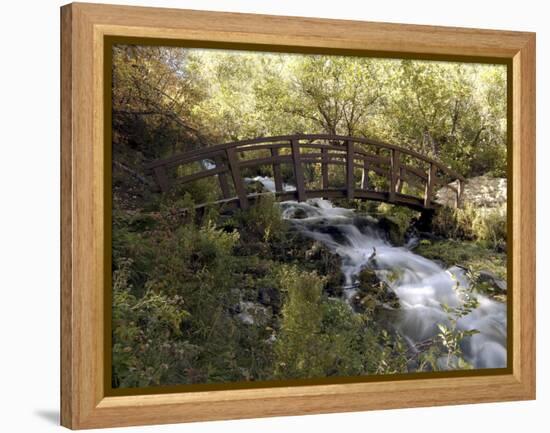 Wooden Bridge Over a Flowing Stream-null-Framed Premier Image Canvas