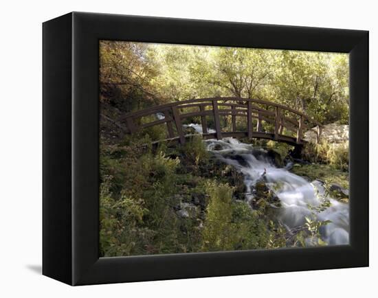 Wooden Bridge Over a Flowing Stream-null-Framed Premier Image Canvas