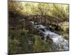 Premium Photographic Print