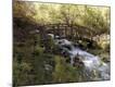 Premium Photographic Print