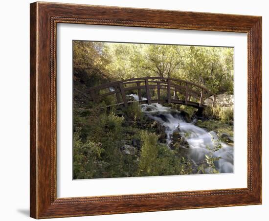 Wooden Bridge Over a Flowing Stream-null-Framed Photographic Print