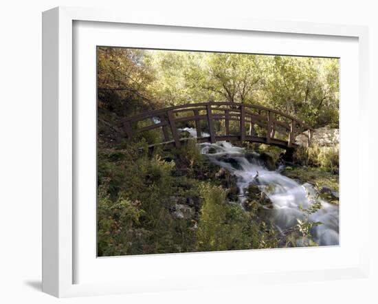 Wooden Bridge Over a Flowing Stream-null-Framed Photographic Print