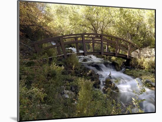Wooden Bridge Over a Flowing Stream-null-Mounted Photographic Print