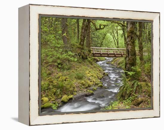 Wooden Bridge over Gorton Creek, Columbia River Gorge, Oregon, USA-Jaynes Gallery-Framed Premier Image Canvas