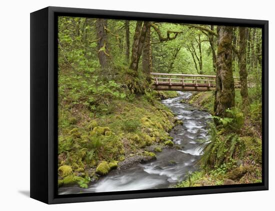 Wooden Bridge over Gorton Creek, Columbia River Gorge, Oregon, USA-Jaynes Gallery-Framed Premier Image Canvas