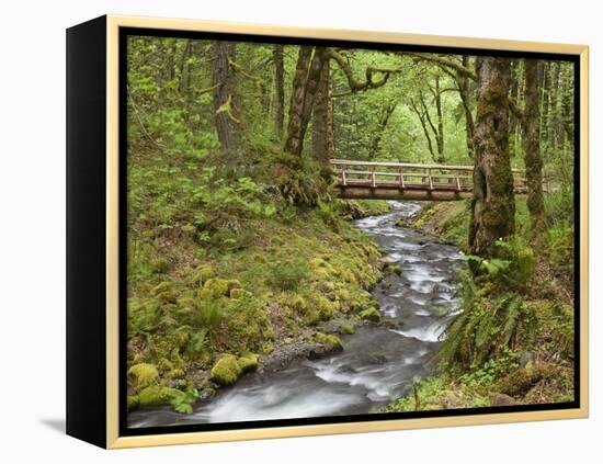 Wooden Bridge over Gorton Creek, Columbia River Gorge, Oregon, USA-Jaynes Gallery-Framed Premier Image Canvas