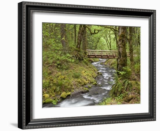 Wooden Bridge over Gorton Creek, Columbia River Gorge, Oregon, USA-Jaynes Gallery-Framed Premium Photographic Print