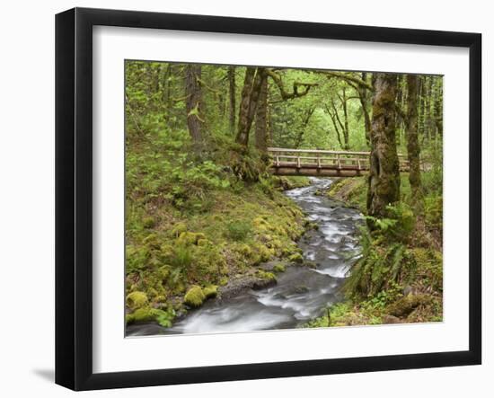 Wooden Bridge over Gorton Creek, Columbia River Gorge, Oregon, USA-Jaynes Gallery-Framed Photographic Print