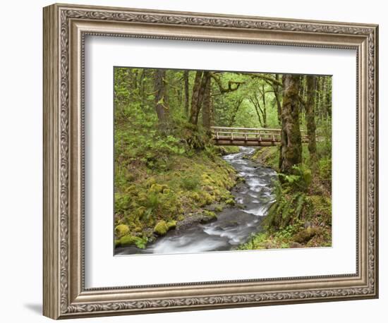 Wooden Bridge over Gorton Creek, Columbia River Gorge, Oregon, USA-Jaynes Gallery-Framed Photographic Print