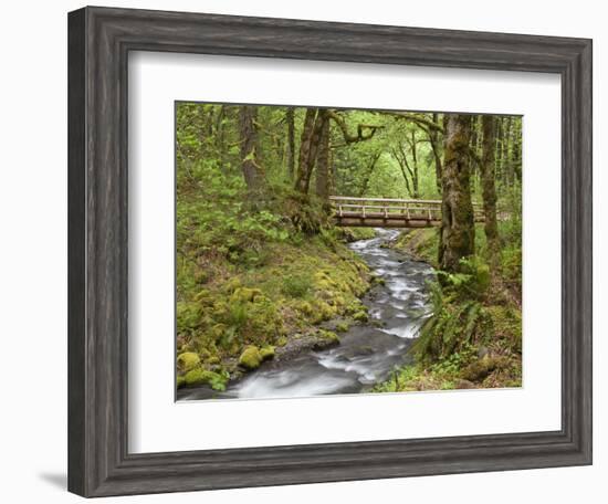 Wooden Bridge over Gorton Creek, Columbia River Gorge, Oregon, USA-Jaynes Gallery-Framed Photographic Print