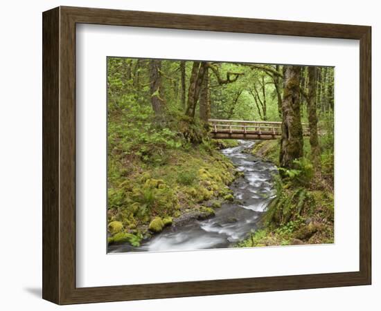 Wooden Bridge over Gorton Creek, Columbia River Gorge, Oregon, USA-Jaynes Gallery-Framed Photographic Print