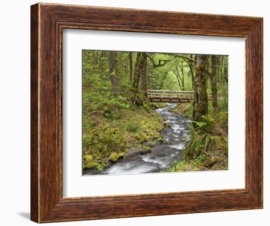 Wooden Bridge over Gorton Creek, Columbia River Gorge, Oregon, USA-Jaynes Gallery-Framed Photographic Print