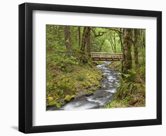 Wooden Bridge over Gorton Creek, Columbia River Gorge, Oregon, USA-Jaynes Gallery-Framed Photographic Print