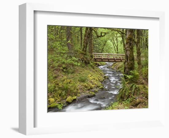 Wooden Bridge over Gorton Creek, Columbia River Gorge, Oregon, USA-Jaynes Gallery-Framed Photographic Print