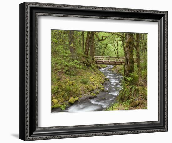 Wooden Bridge over Gorton Creek, Columbia River Gorge, Oregon, USA-Jaynes Gallery-Framed Photographic Print