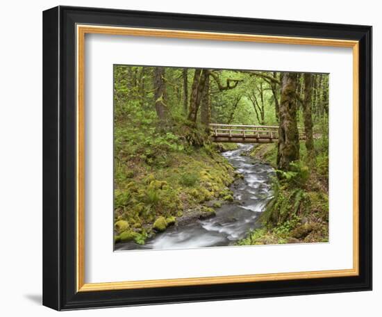 Wooden Bridge over Gorton Creek, Columbia River Gorge, Oregon, USA-Jaynes Gallery-Framed Photographic Print